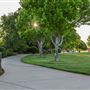 Baroni Park