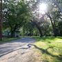 Hooker Oak Park