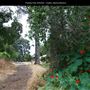 Presidio Park