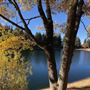 Green Valley Lake Recreation