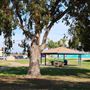 Robert Egger Sr. South Bay Community Park and Recreation Center