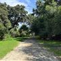 DAM Ranch