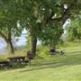 Brannan Island State Recreation Area (SRA)