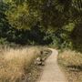 Castle Rock State Park (SP)