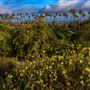 California Citrus State Historic Park (SHP)