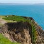 Bodega Head / Dunes (Sonoma Coast State Beach)