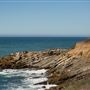 Gualala Point Regional Park