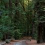 Guerneville