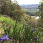 Healdsburg