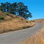 Occidental