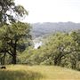Russian River