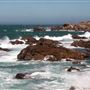 Salt Point State Park (SP)