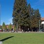 City of Santa Rosa