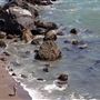 Sonoma Coast State Park (SP)