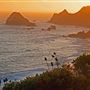 Sonoma Coast State Park (SP)