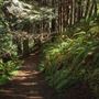Stillwater Cove Regional Park