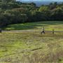 Taylor Mountain Regional Park