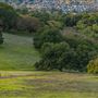 Taylor Mountain Regional Park