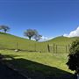Horick Ranch