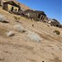 Mojave Tropico Mine