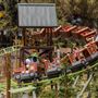 Knott's Berry Farm & Knott's California Marketplace