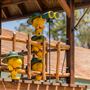 Knott's Berry Farm & Knott's California Marketplace