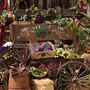 Knott's Berry Farm & Knott's California Marketplace