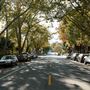 Walnut Avenue