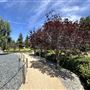 Japanese Gardens @ Donald C. Tillman Water Reclamation Plant