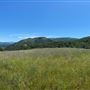 Garland Ranch Regional Park