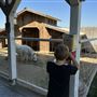 Bravo Farms