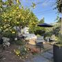 Classic California Charm in Santa Barbara