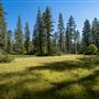 Ward Creek Park Property