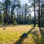 Ward Creek Park Property