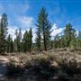 Washoe Meadows State Park (SP)
