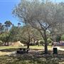 Kenneth Hahn State Recreational Area (SRA) administered by Los Angeles County