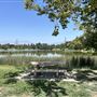 Whittier Narrows Recreation Area / LA County Parks - US Army Corps of Engineers