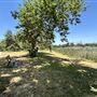 Whittier Narrows Recreation Area / LA County Parks - US Army Corps of Engineers