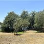 Whittier Narrows Recreation Area / LA County Parks - US Army Corps of Engineers