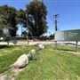 Whittier Narrows Recreation Area / LA County Parks - US Army Corps of Engineers