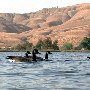 Lake Ming