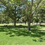 Whittier Narrows Recreation Area / LA County Parks - US Army Corps of Engineers