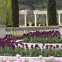 Ferrari Carano Vineyards and Winery