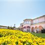 Ferrari Carano Vineyards and Winery