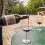 Buena Vista Winery
