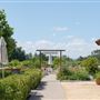 DeLoach Winery