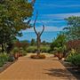 DeLoach Winery