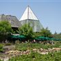 Francis Ford Coppola Winery