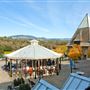 Francis Ford Coppola Winery