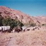 Lane Ranch & Co.
